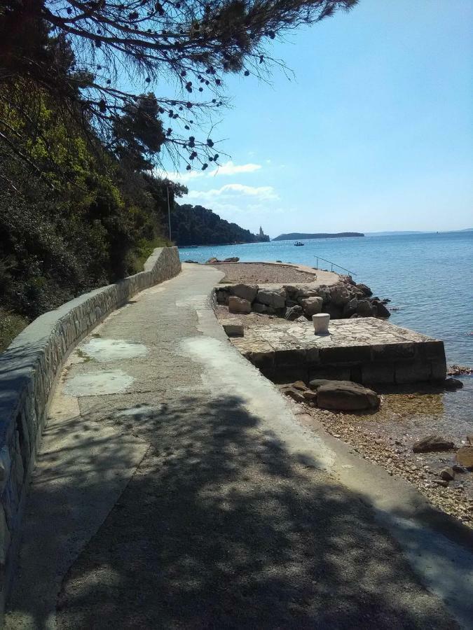 Appartamento Mlacovic *